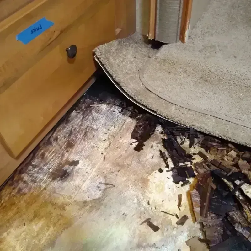 Best Wood Floor Water Damage Service in Swartz Creek, MI